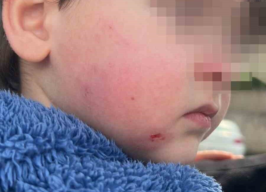 Bir anne, Bursa’nın Gemlik ilçesinde bulunan özel bir kreşte 2,5