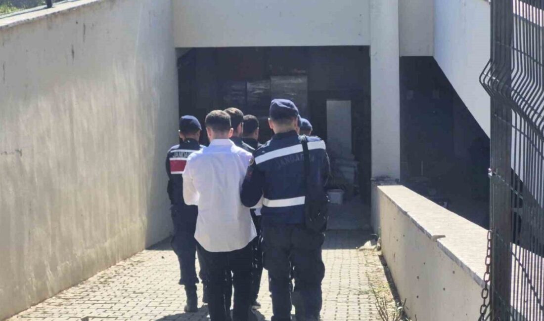 Bodrum ilçesinde yaşanan tabancayla 2 kişinin öldürülmesi olayıyla ilgili 14