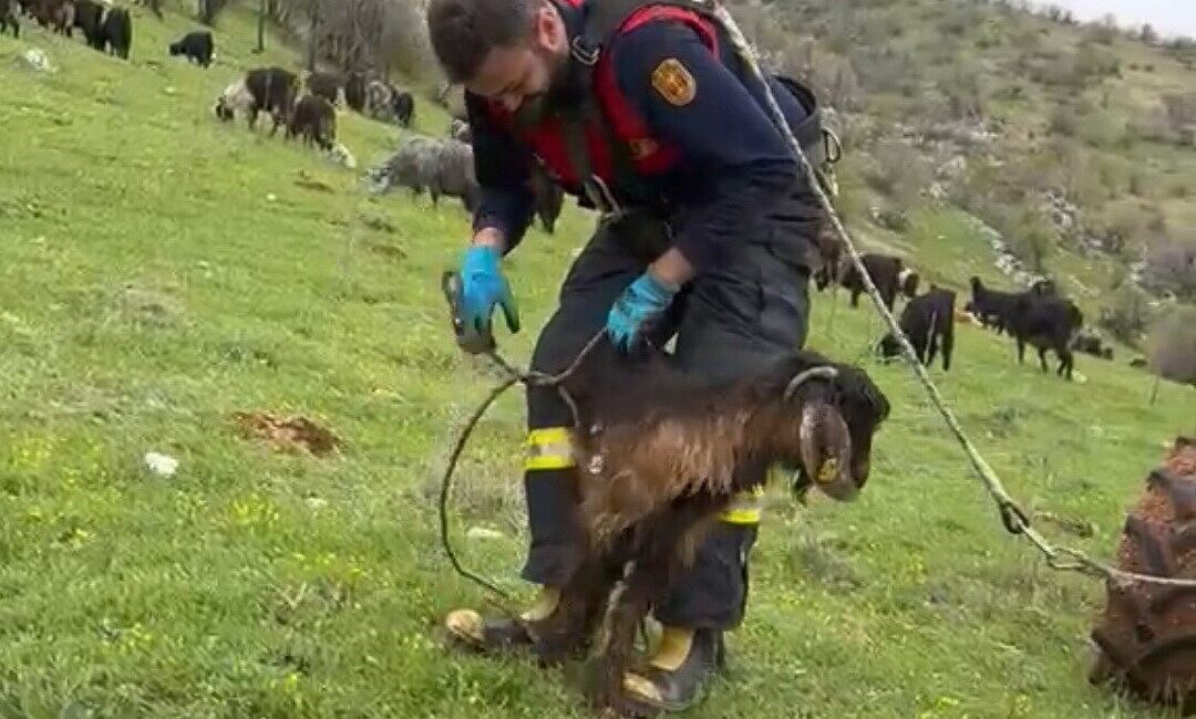Adıyaman’ın Gölbaşı ilçesinde, su kuyusuna düşen bir keçi, itfaiye ekipleri