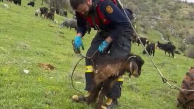 Adıyaman’ın Gölbaşı ilçesinde, su kuyusuna düşen bir keçi, itfaiye ekipleri