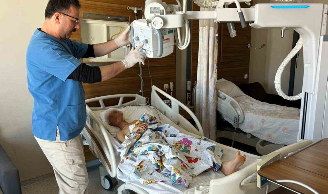 Van’ın Saray ilçesinde, sahipsiz sokak köpeklerinin saldırısına maruz kalarak yaralanan