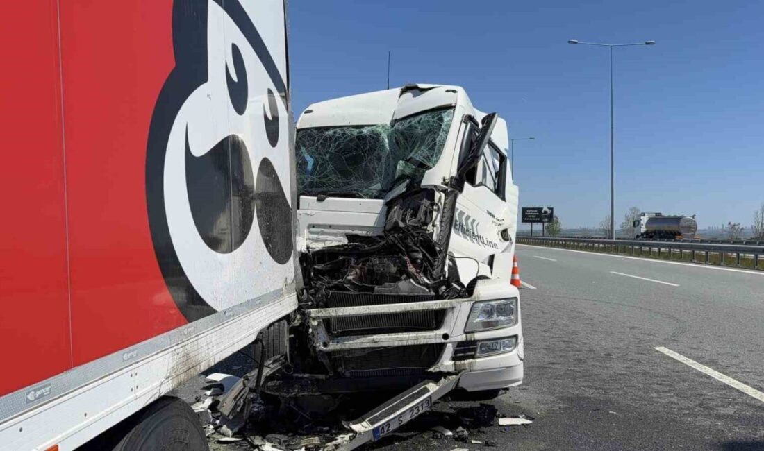 Çatalca mevkiinde meydana gelen zincirleme kazada, park halindeki araçlara çarpan