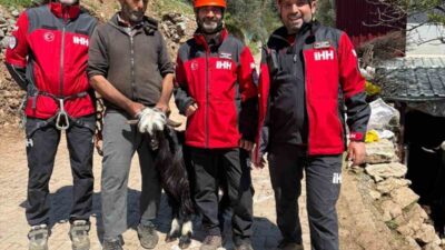 Antalya’nın Gündoğmuş ilçesine bağlı Kayabükü Mahallesi’nde yaklaşık bir hafta boyunca