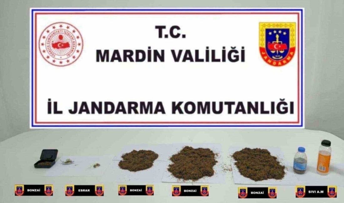 Midyat ilçesinde jandarma ekiplerinin gerçekleştirdiği operasyonda 1 kilo 75 gram