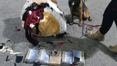 Mersin’de polis ekipleri tarafından gerçekleştirilen operasyonda bir iş yerinde yapılan