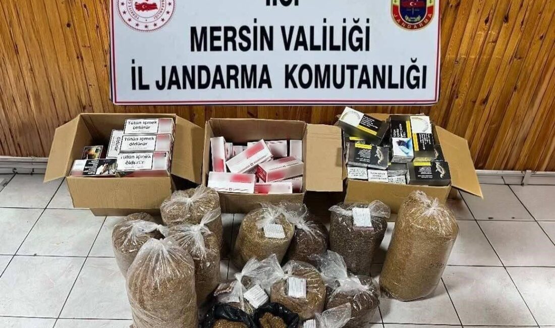 Mersin’de Jandarma ekipleri tarafından gerçekleştirilen operasyonda 2 kişi yakalandı ve