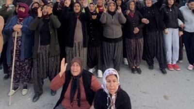 Mersin’in Mezitli ilçesinde, Anayurt Mahallesi’nde, ormanlık alana dönüştürülen narenciye bahçelerinin