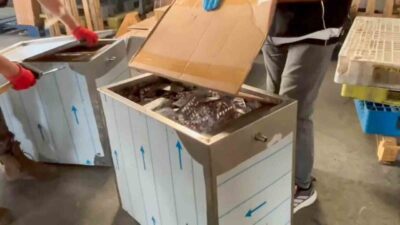 Mersin’de polis ekipleri tarafından gerçekleştirilen bir operasyonda, metal kolilere gizlenmiş