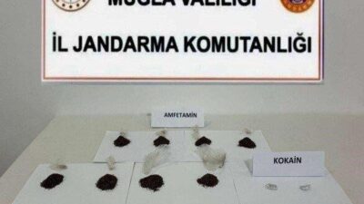 Muğla İl Jandarma Komutanlığı, uyuşturucuyla mücadele kapsamında yapılan operasyonlarda büyük