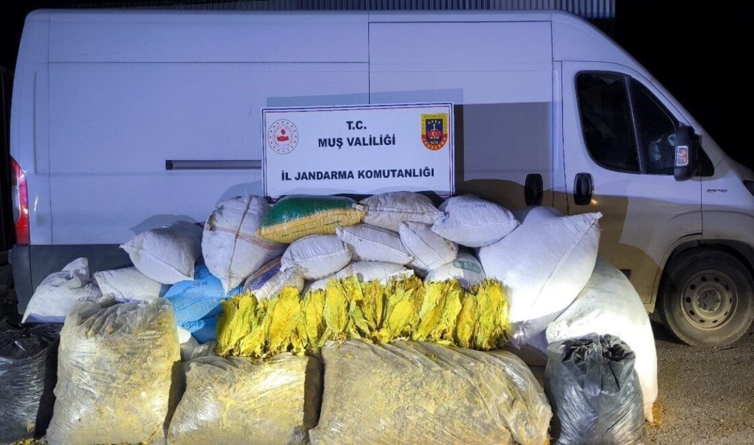 Muş iline bağlı Hasköy ilçesinde gerçekleştirilen operasyonda, jandarma ekipleri tarafından