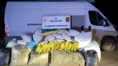 Muş iline bağlı Hasköy ilçesinde gerçekleştirilen operasyonda, jandarma ekipleri tarafından