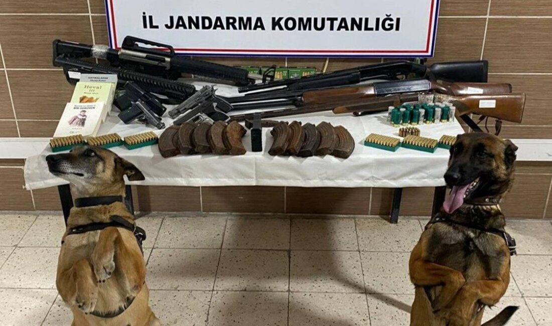 Muş İl Jandarma Komutanlığı’nın yürüttüğü operasyonda, ruhsatsız silahlar, mühimmat ve