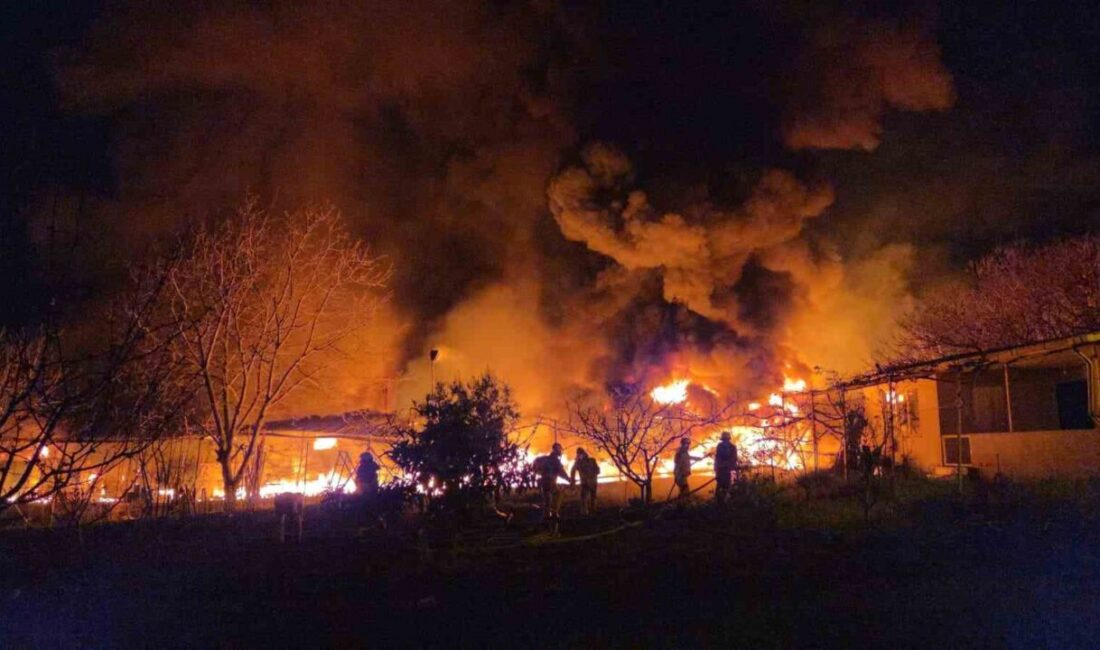Samsun’un İlkadım ilçesinde bulunan bir muz deposunda çıkan yangın, ekiplerin