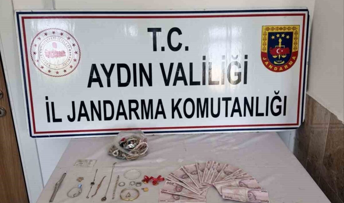 Nazilli ilçesinde gerçekleşen hırsızlık olayında şüpheli yakalandı. E.Ç. (42) isimli