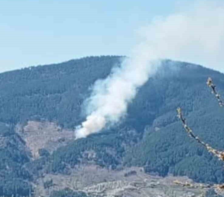Nazilli ilçesindeki orman yangınında kontrol çalışmaları devam ederken, yangının çıkış