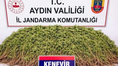 Aydın’ın Nazilli ilçesinde, polis ekipleri tarafından gerçekleştirilen operasyonda şüpheli bir