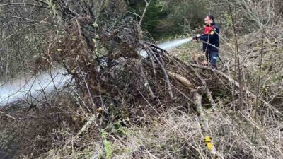 Kastamonu’nun Cide ilçesinde ormanlık alanda çıkan yangın, itfaiye ekiplerinin hızlı