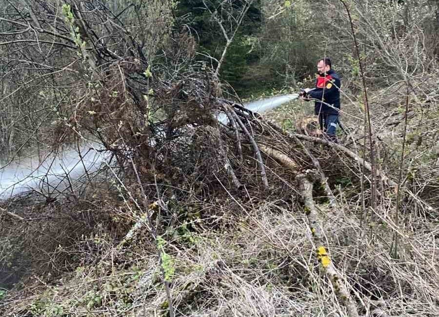 Kastamonu’nun Cide ilçesinde ormanlık alanda çıkan yangın, itfaiye ekiplerinin hızlı