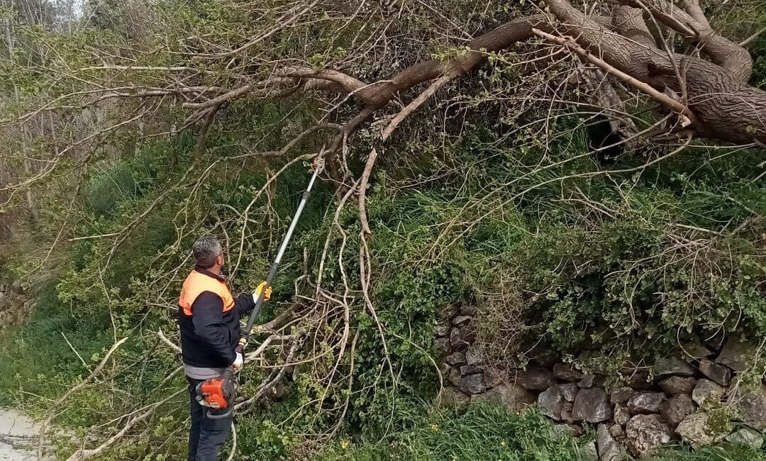 Osmaniye’nin Düziçi ilçesinde meydana gelen şiddetli fırtına, olumsuz etkiler yarattı.