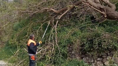 Osmaniye’nin Düziçi ilçesinde meydana gelen şiddetli fırtına, olumsuz etkiler yarattı.