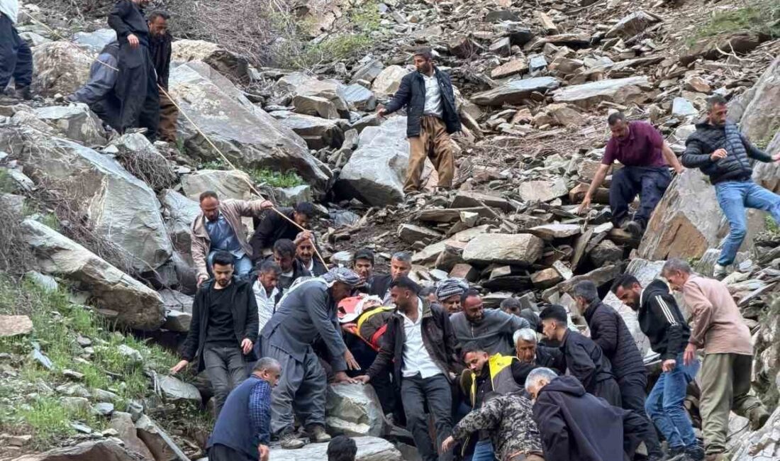 Şırnak’ın Beytüşşebap ilçesinde bir kişi, pancar toplamak için yüksek bir