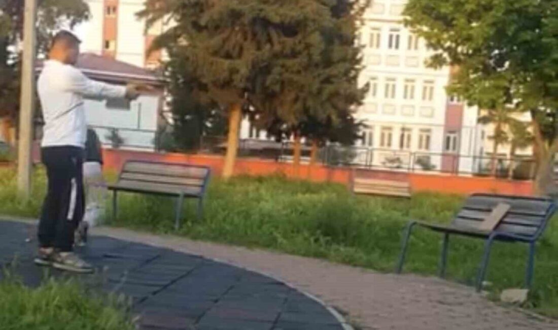 Bir kişi, Adana’da bulunan Gürselpaşa Mahallesi’ndeki bir çocuk parkında, yanındaki