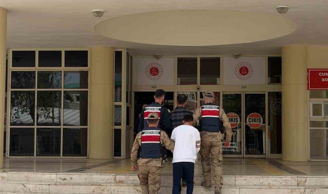 Ordu İl Jandarma Komutanlığı’nın yürüttüğü operasyon sonucunda, sıkıntı yaratan içeriklere