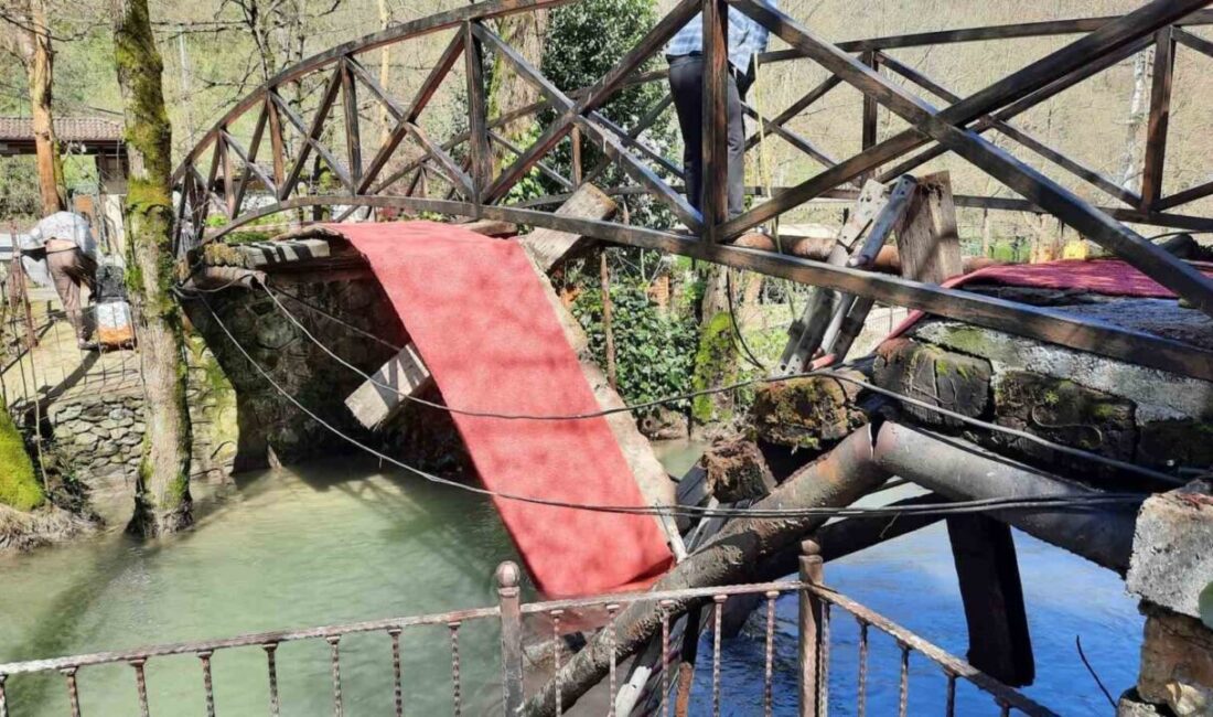Sapanca ilçesine bağlı Mahmudiye Mahallesi’nde turistik bir tesisin içerisinde bulunan