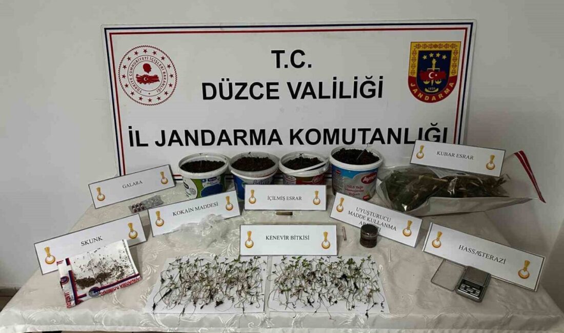 Düzce’de bir kişi, evinde saksı içinde kenevir bitkisi yetiştirdiği gerekçesiyle