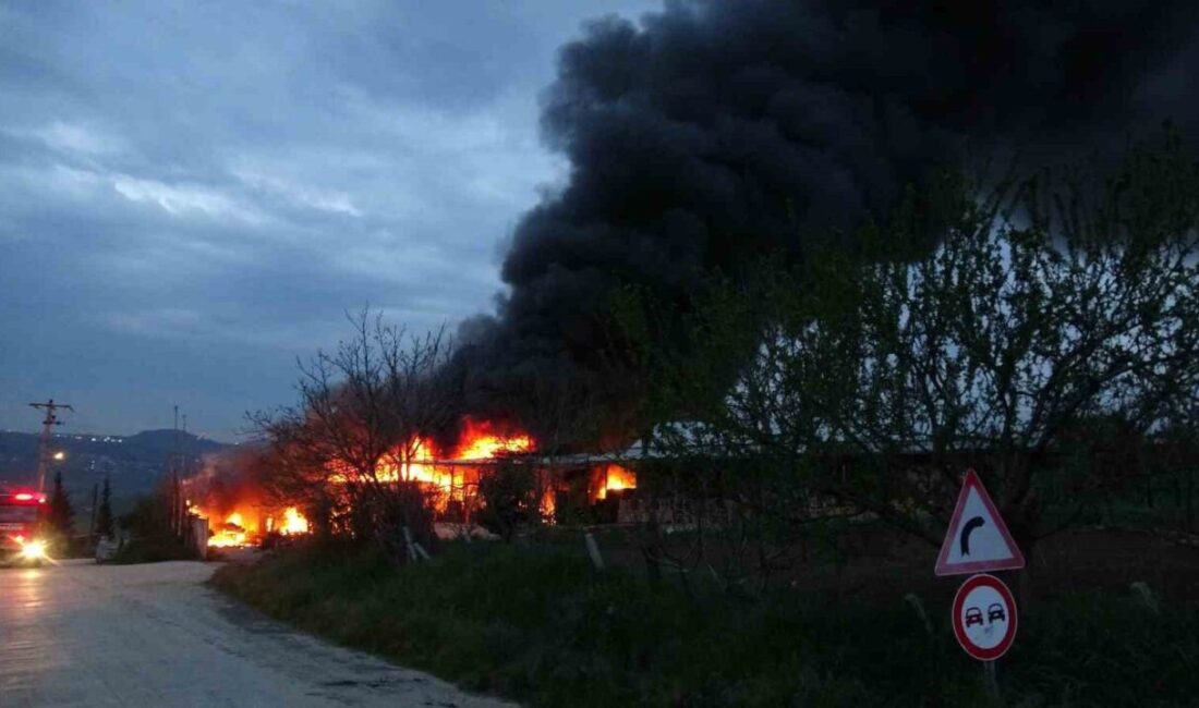 Samsun’un Atakum ilçesinde bir meyve deposunda yangın çıktı. Yangına müdahale