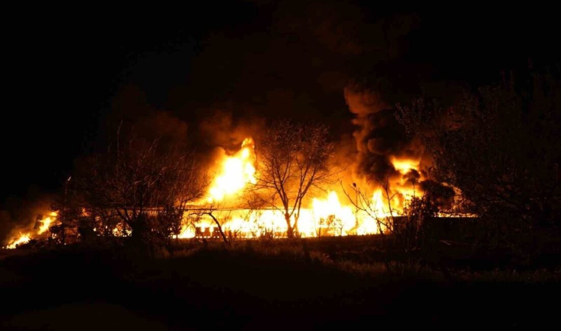 Samsun’un İlkadım ilçesindeki bir muz deposunda meydana gelen yangın, panik