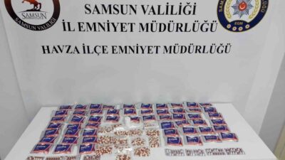 Samsun’un Havza ilçesinde polis ekipleri tarafından durdurulan bir araçta gerçekleştirilen