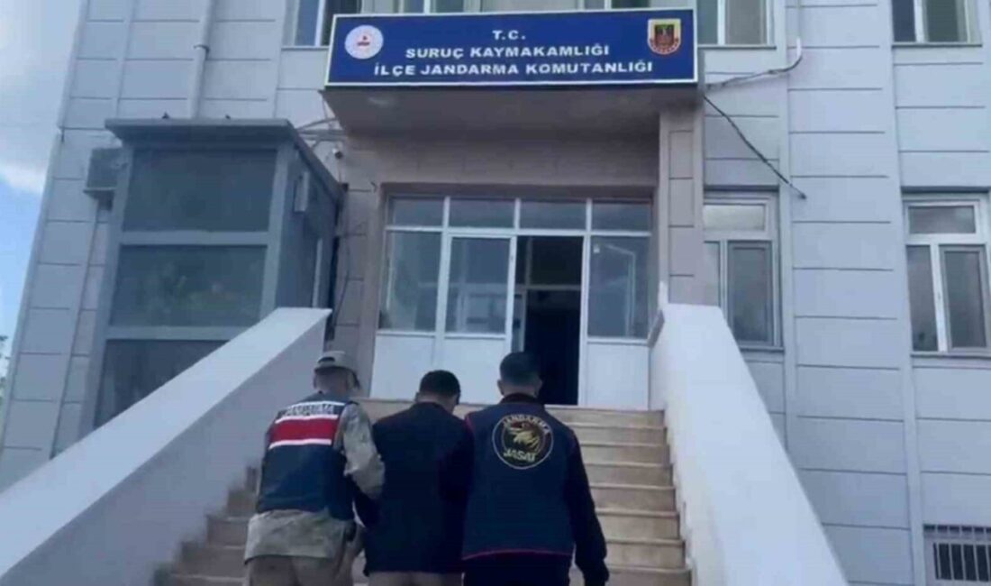 Suruç ilçesinde aranan şahısları yakalamak amacıyla yürütülen operasyonlar kapsamında, çeşitli
