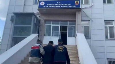 Suruç ilçesinde aranan şahısları yakalamak amacıyla yürütülen operasyonlar kapsamında, çeşitli