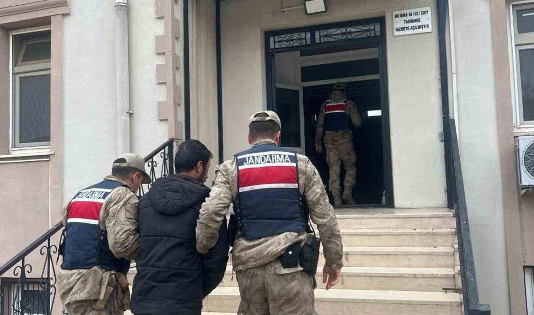 Şanlıurfa’nın Karaköprü ilçesinde, arama kararı bulunan 2 kişi, jandarma ekipleri