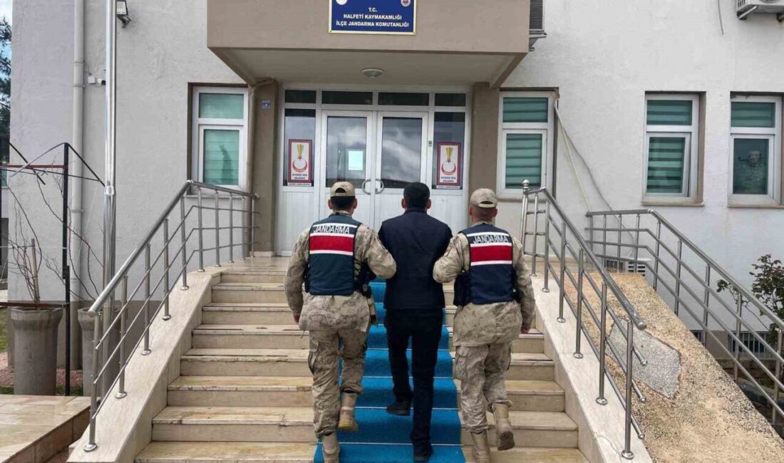 Şanlıurfa’da, jandarma ekipleri tarafından aranan 4 mahkum, çeşitli suçlardan kesinleşmiş