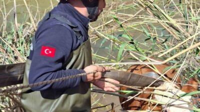 Şanlıurfa’nın Akçakale ilçesinde, Kırsal Şahinsoylu Mahallesi ile Kurudere Mahallesi arasında