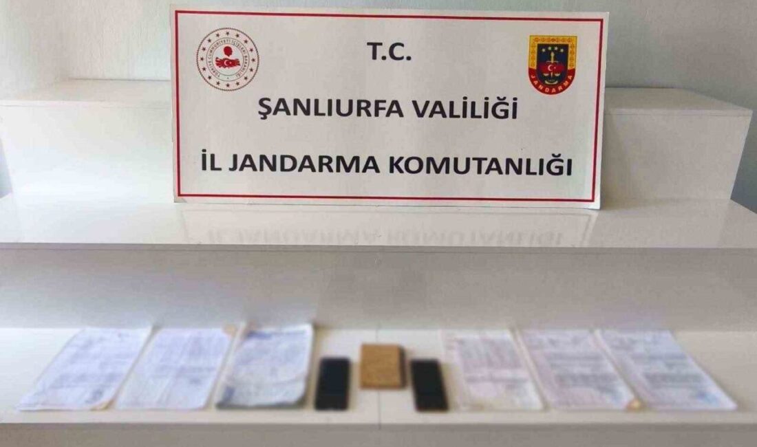Şanlıurfa’nın Viranşehir ilçesinde jandarma tarafından gerçekleştirilen operasyonda 2 tefeci gözaltına