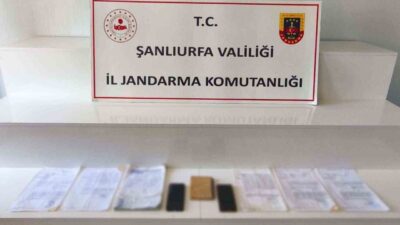 Şanlıurfa’nın Viranşehir ilçesinde jandarma tarafından gerçekleştirilen operasyonda 2 tefeci gözaltına