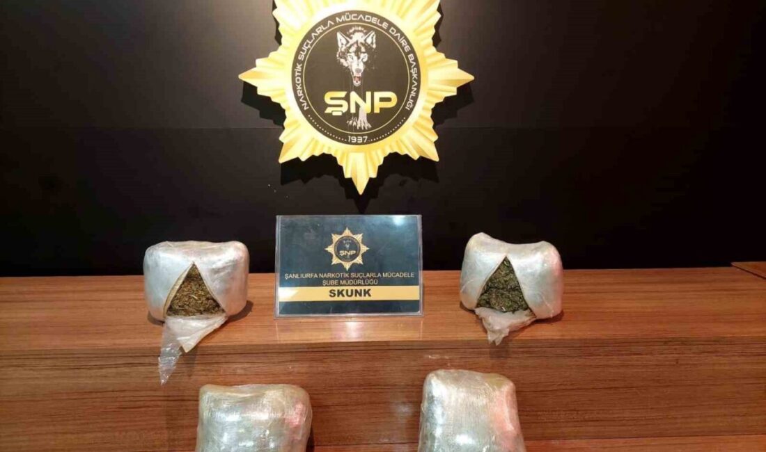 Şanlıurfa’da gerçekleştirilen operasyonda bir araçta 2 kilo 450 gram skunk