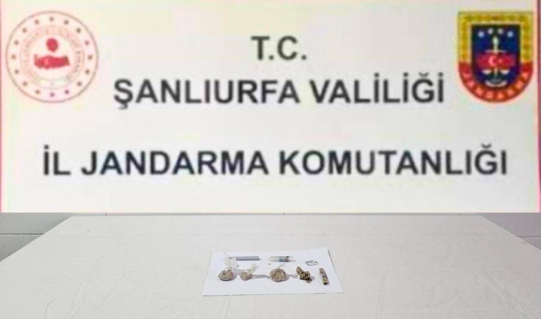 Şanlıurfa’nın üç ilçesinde jandarma ekipleri tarafından yürütülen uyuşturucu operasyonlarında 9
