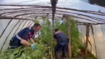 Antalya’nın Serik ilçesinde, jandarma ekipleri tarafından bir şahsa ait sera