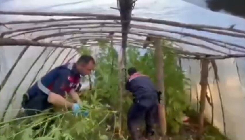 Antalya’nın Serik ilçesinde, jandarma ekipleri tarafından bir şahsa ait sera