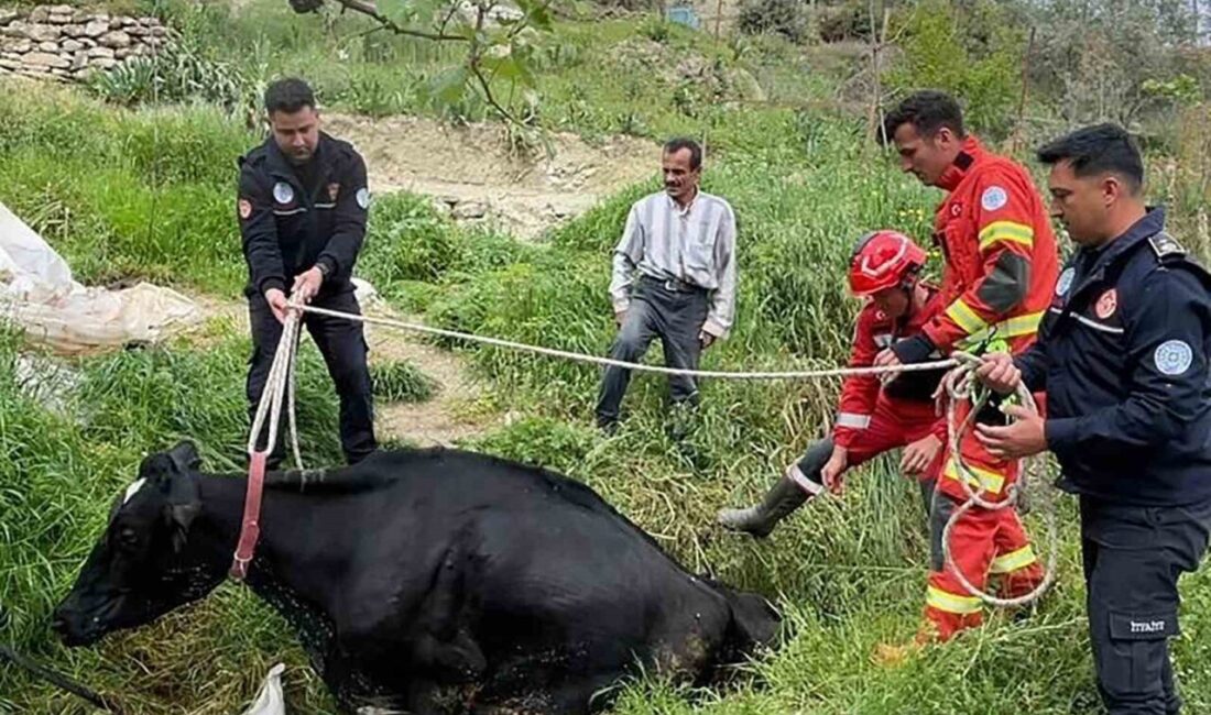 Muğla’nın Seydikemer ilçesine bağlı Seydiler Mahallesi Karatoplar mevkiinde sıkışan bir