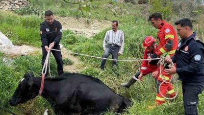 Muğla’nın Seydikemer ilçesine bağlı Seydiler Mahallesi Karatoplar mevkiinde sıkışan bir