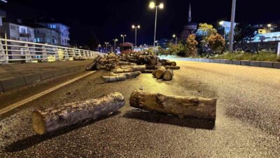 Karabük ilinde seyir halindeki bir kamyonun damperi açılarak yola odunlar