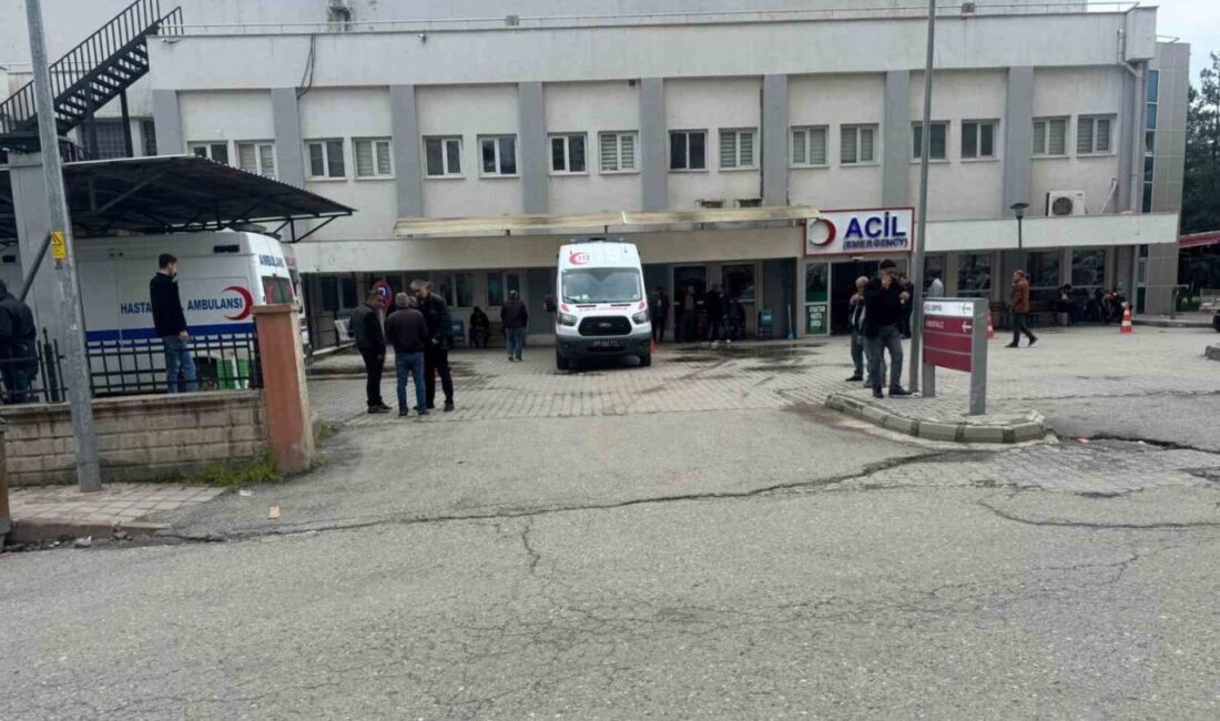 Siirt ilinin Kurtalan ilçesine bağlı olan Akdem köyünde 2,5 yaşındaki