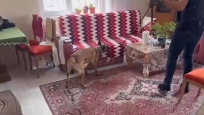 Kayseri İl Emniyet Müdürlüğü ekipleri, silah kaçakçılarına yönelik gerçekleştirilen operasyonda