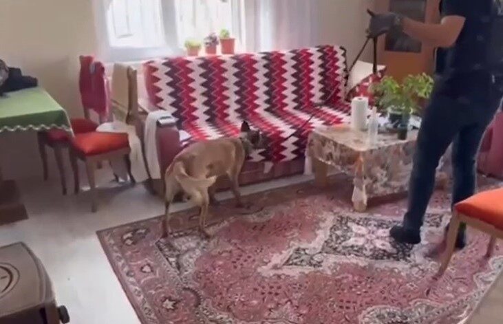 Kayseri İl Emniyet Müdürlüğü ekipleri, silah kaçakçılarına yönelik gerçekleştirilen operasyonda