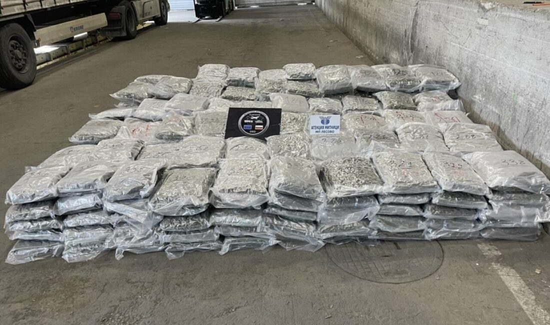 Edirne ilinin Hamzabeyli Sınır Kapısı karşısında yer alan Lesovo Sınır